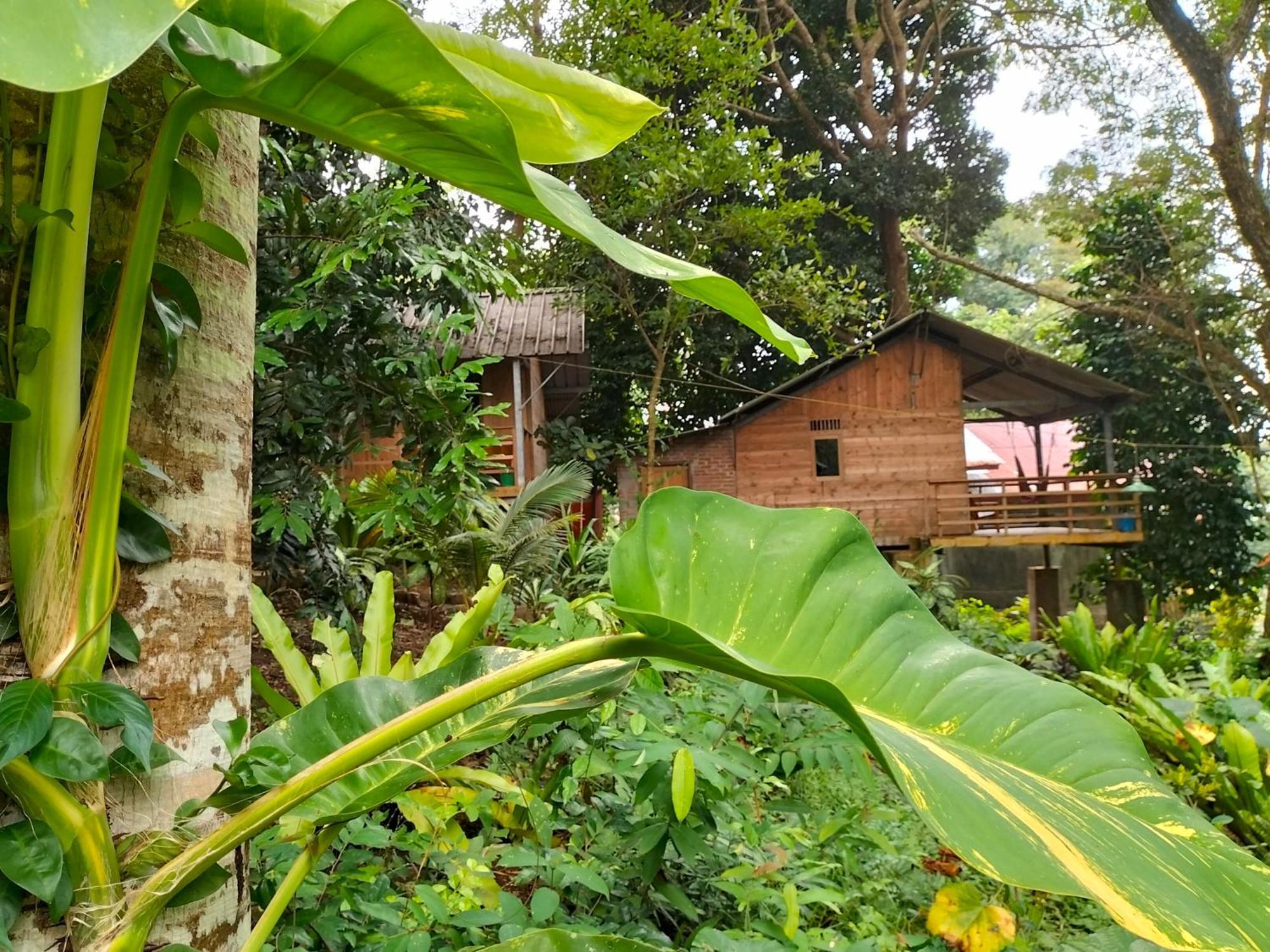 Santi Garden Bungalows Iboih Exteriör bild